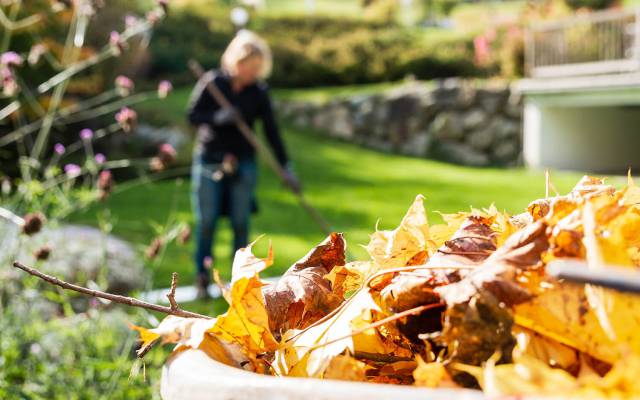 Mein schöner Garten – die zehn besten Tipps zur Gartenarbeit im Herbst