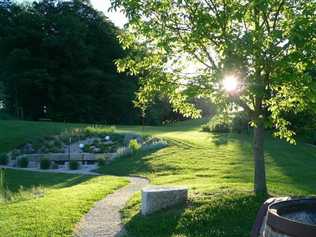 relax garden sun