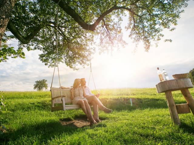 romantic tree swing in the garden