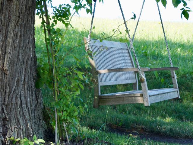 romantic tree swing in the garden