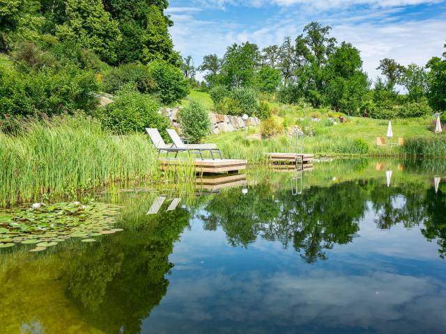 natural pond