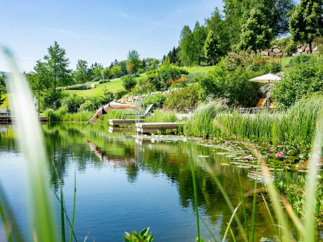 Abtauchen im Schwimmbiotop im Wellnessgarten