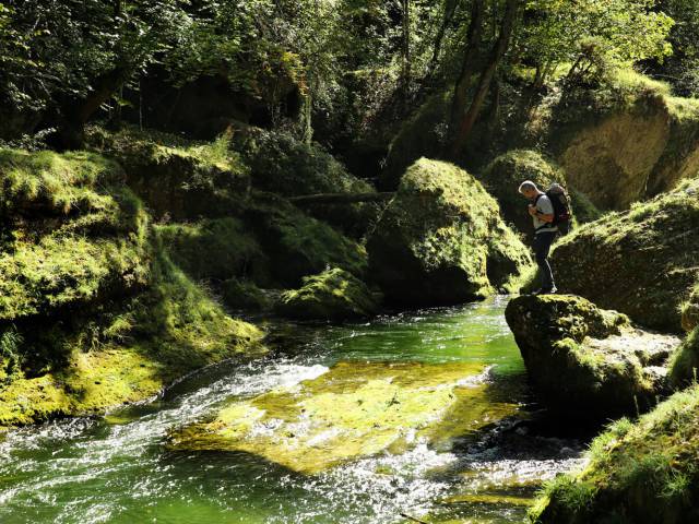 Erlaufschlucht in Purgstall