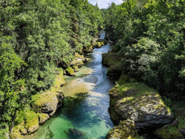 Erlaufschlucht in Purgstall