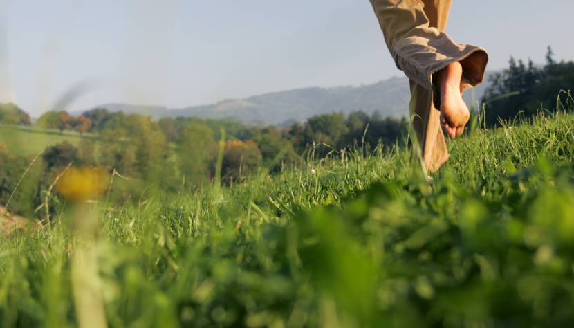 Positiv denken in der Natur - Zwei Organisationsentwickler im Interview 