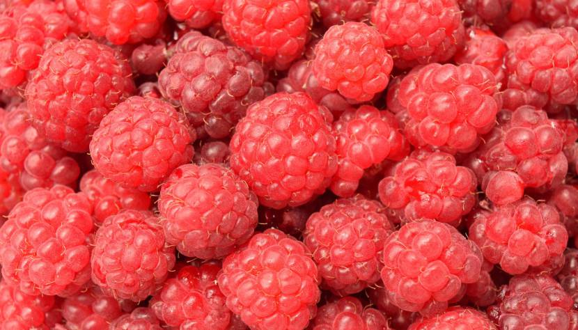  „Die Königin der Beeren“ – Die Himbeere