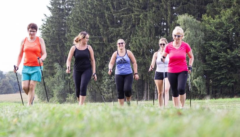 Nordic Walking im Mostviertel