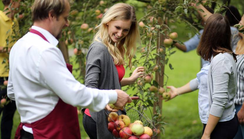 Die Zutaten für den erntefrischen Cocktail selber sammeln