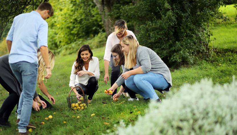 Die Zutaten für den erntefrischen Cocktail selber sammeln