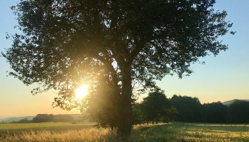 Die beste Entspanungsmusik ist zweifelsohne die Natur