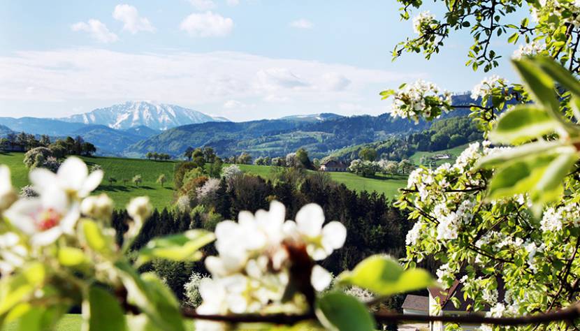 Ötscherblick, Mostviertel