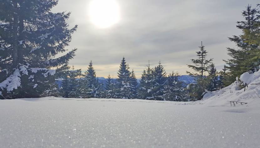 Schneelandschaft Winter Silvester