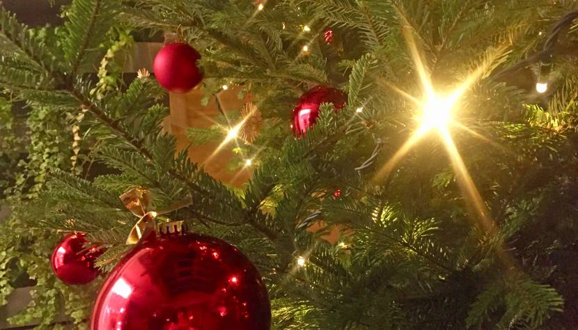 Christbaum in der Kothmühle