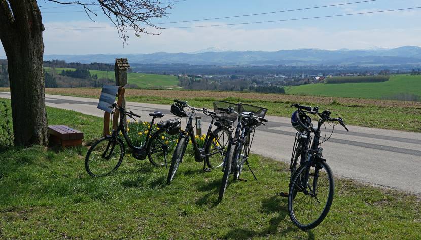 Mostbaron-Radroute in Neuhofen an der Ybbs