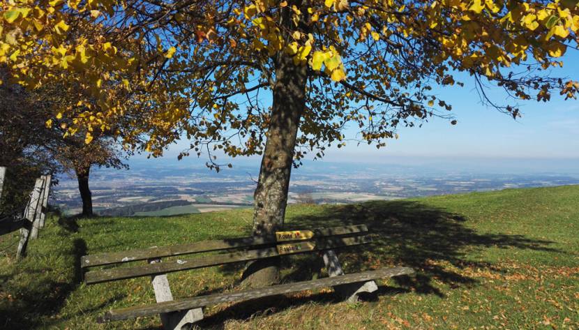 Hochkogel-Panoramarundweg mit Ausblick aufs Mostviertel