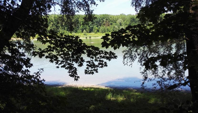 Altarm Wanderweg in Wallsee