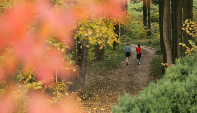 Kothmühlenweg in Neuhofen an der Ybbs im Mostviertel