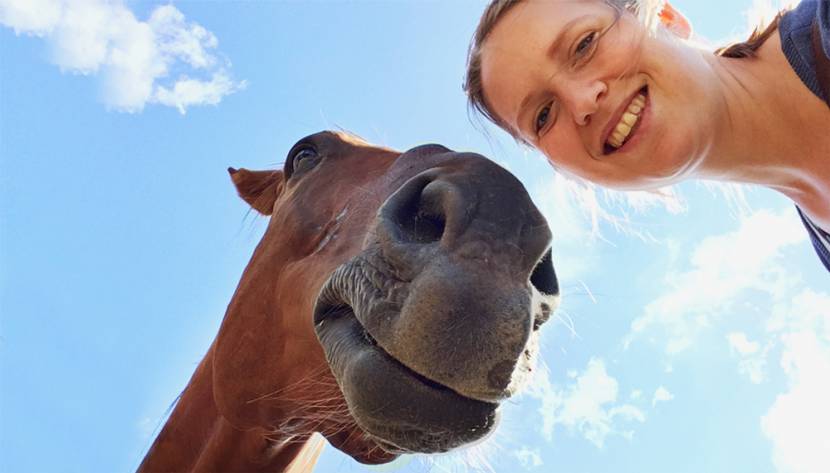 Zufrieden Pferd und Reiterin