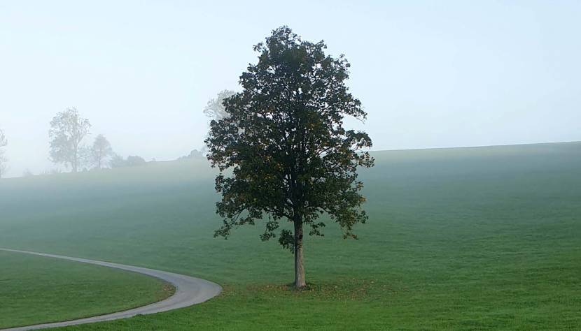 Das hügelige Mostviertel im Nebel