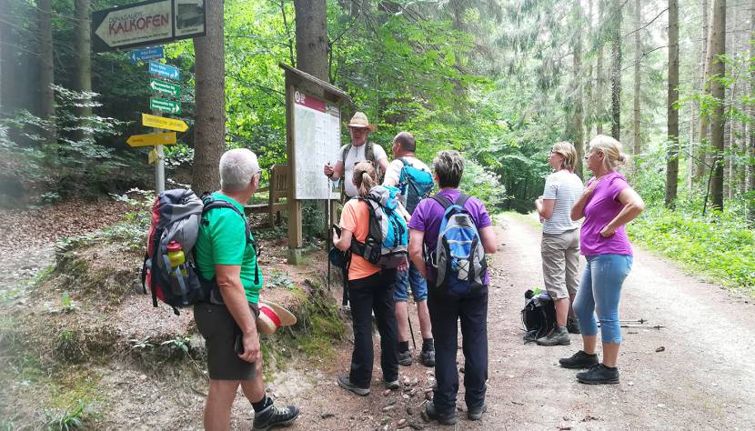 Wandergruppe Pilgerweg