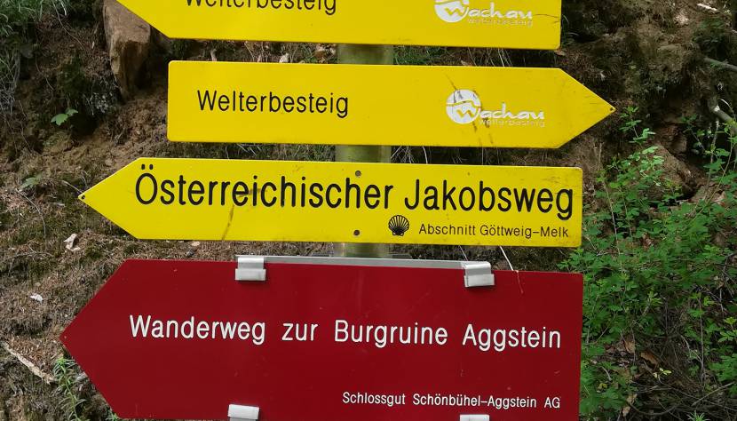 Schilderbaum Wanderwege