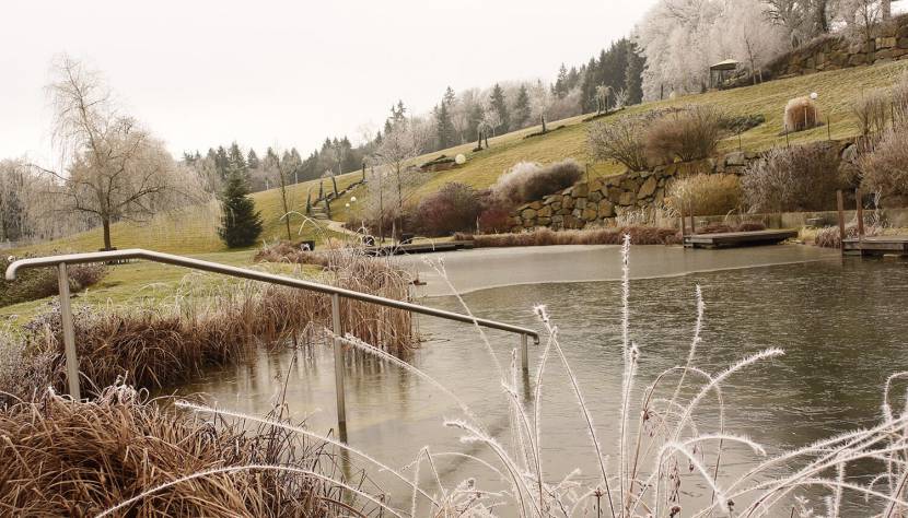 Naturbadeteich im Winter