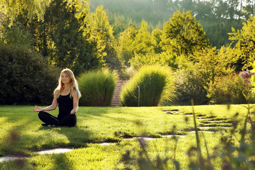 Yoga mit Mostviertler Panorama