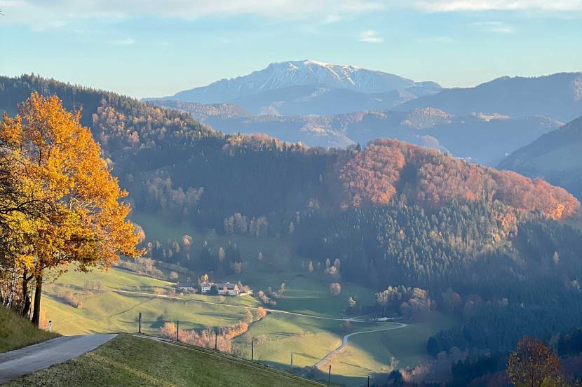 Abendrot am Ötscher