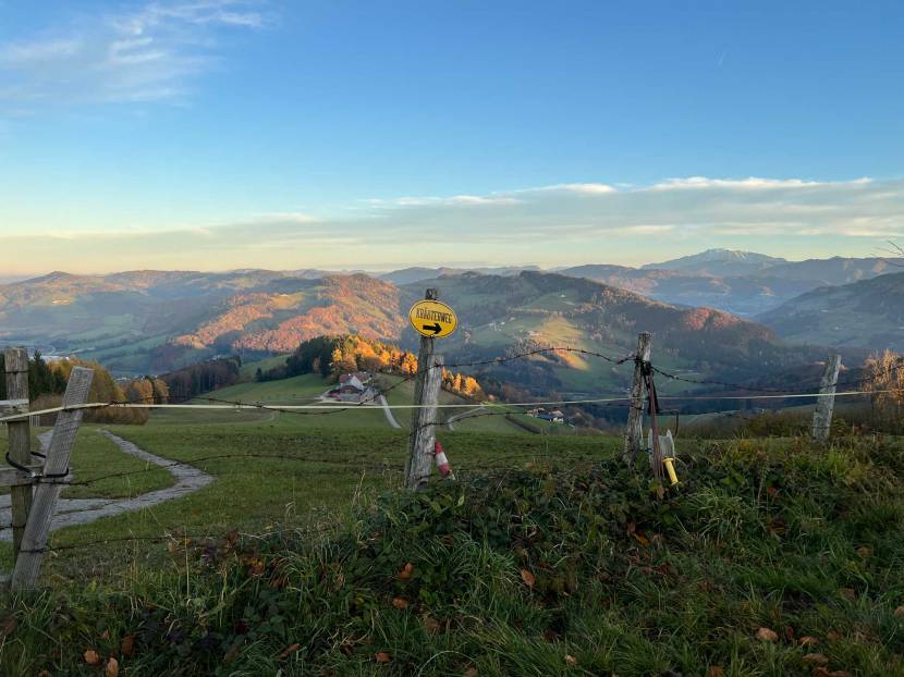 Kräuterweg am Hochkogel