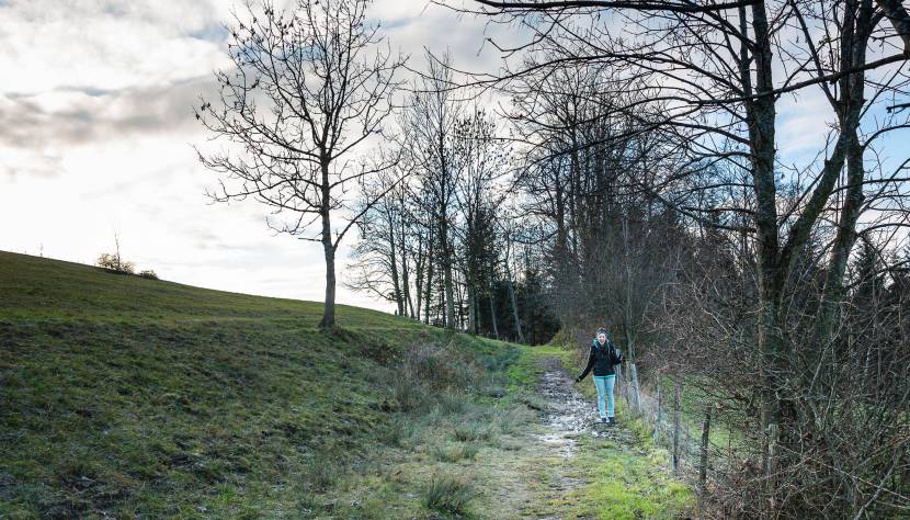 tut-gut Wanderwege in Randegg