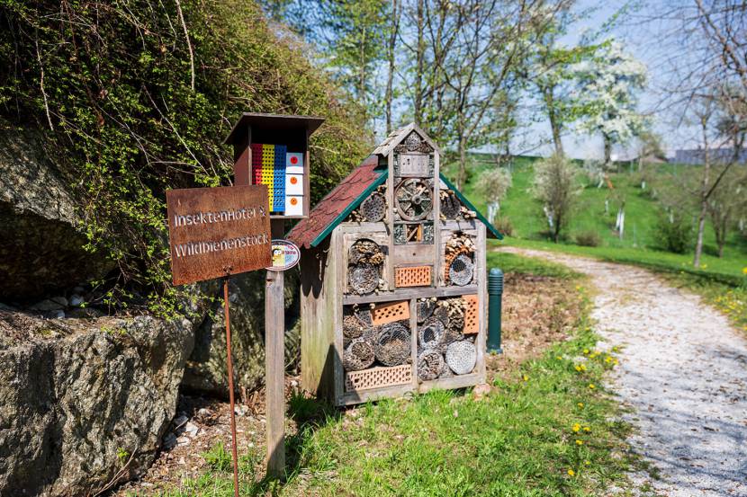 hauseigenes Insektenhotel