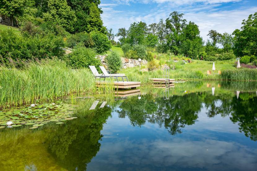 Biotop im RelaxGarten