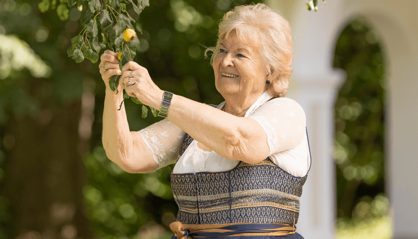 Seniorchefin Birnenernte