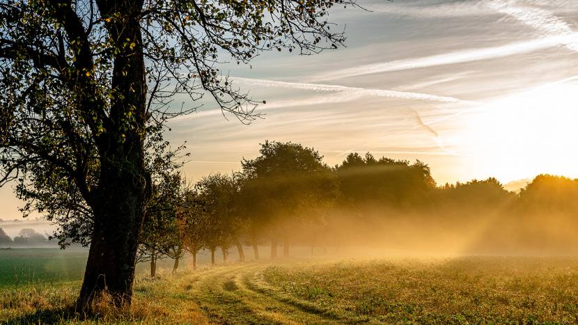 Herbst im Mostviertel