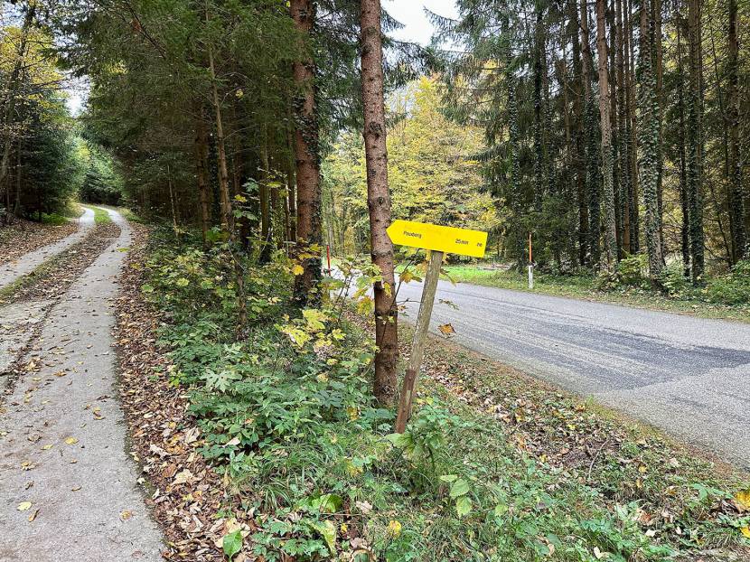 Der Kothmühle Rundwanderweg