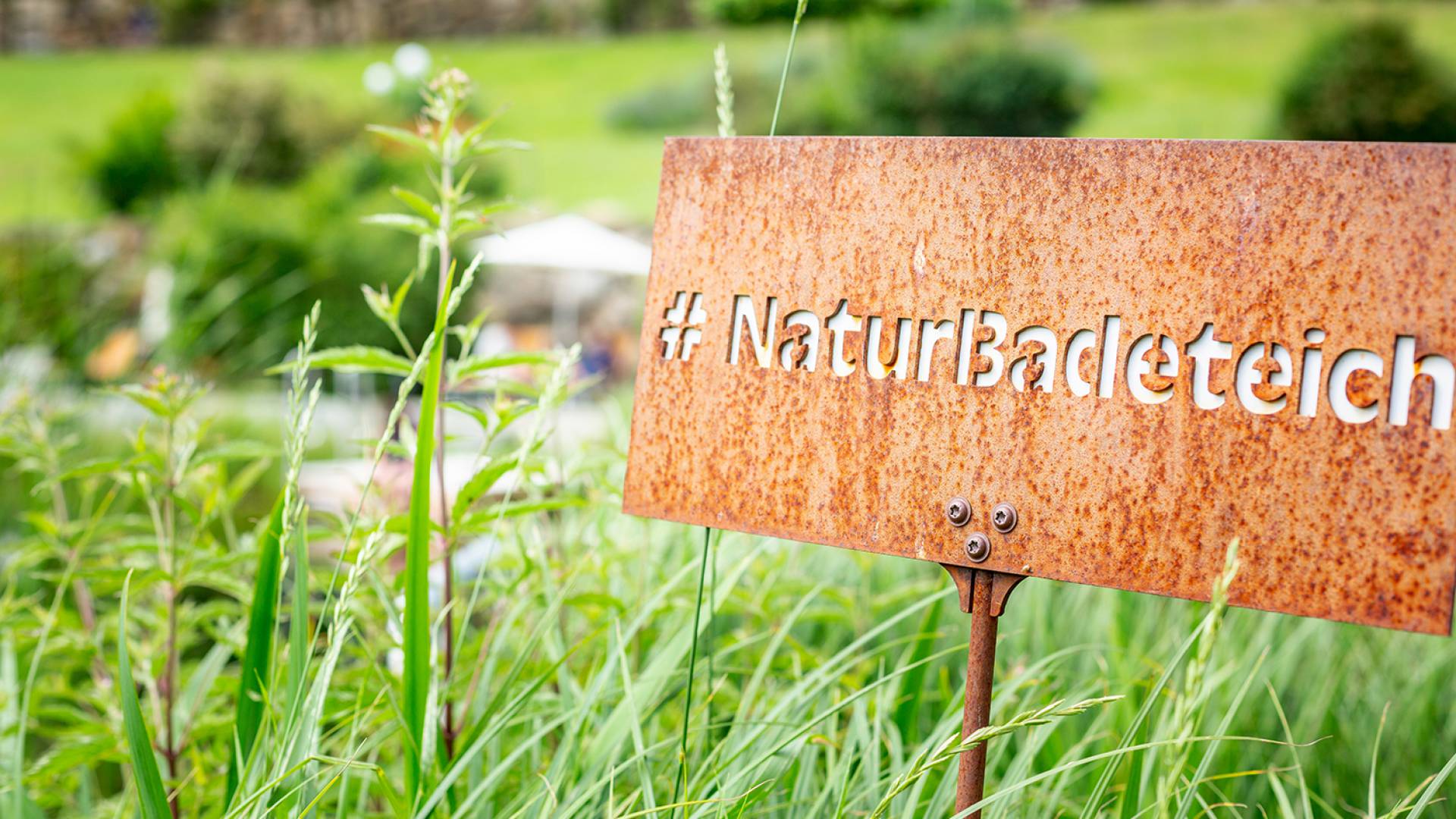 Naturbadeteich