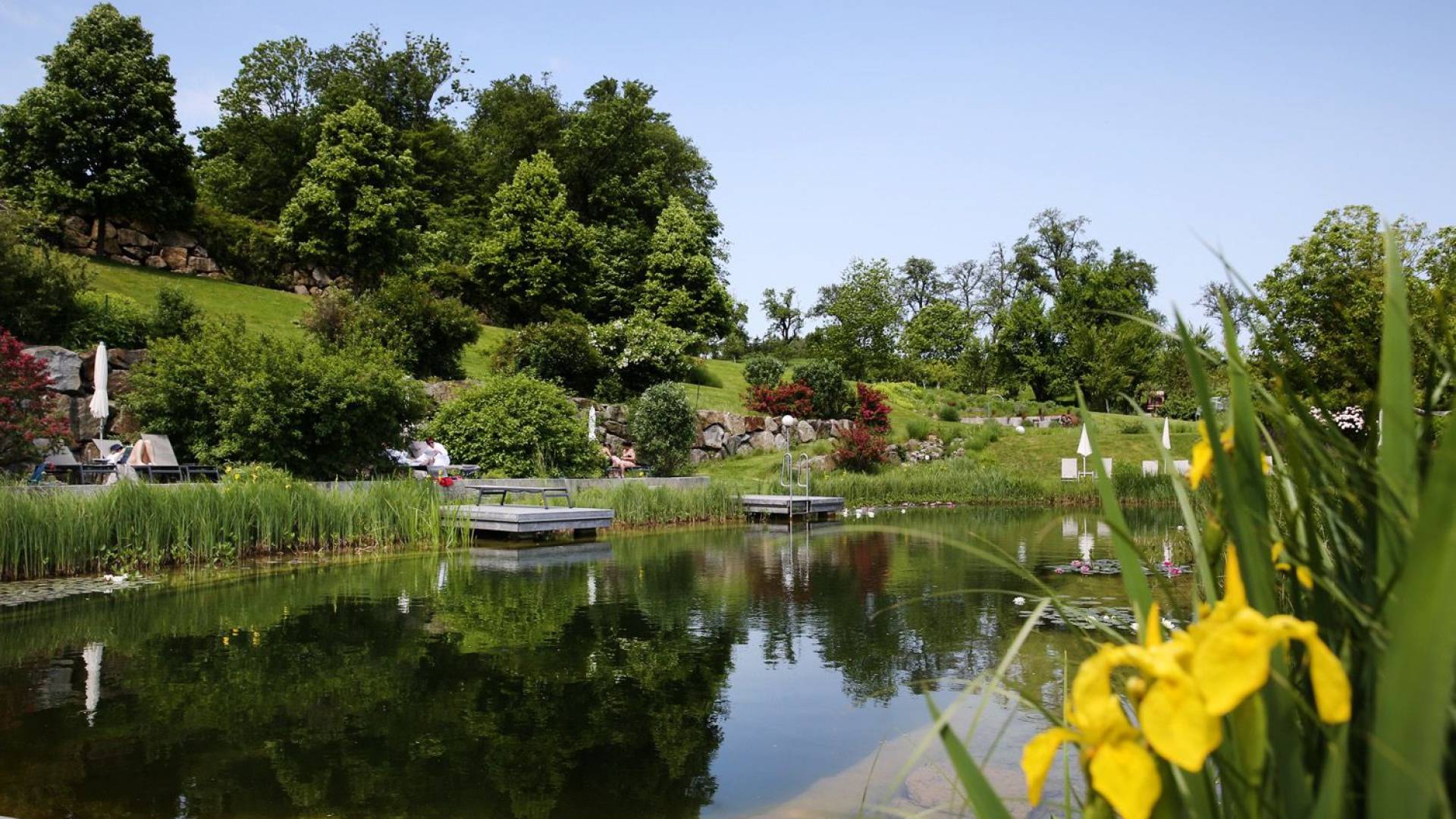 Naturbadeteich im RelaxResort Kothmühle