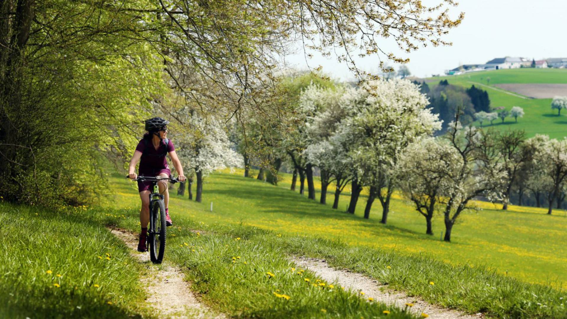 Radfahren im Mostviertel