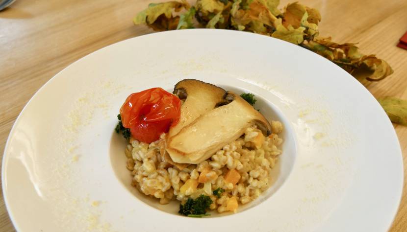 Bio Kräuterseitlinge – das bessere Fleisch - Relax Resort Kothmühle