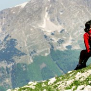 Auf der Alm do gibt's koa Sünd`, Bild 5/6