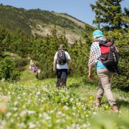 Auf der Alm do gibt's koa Sünd`, Bild 6/6