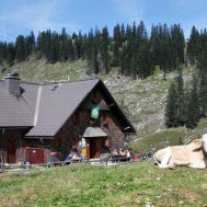 Auf der Alm do gibt's koa Sünd`, Bild 4/6