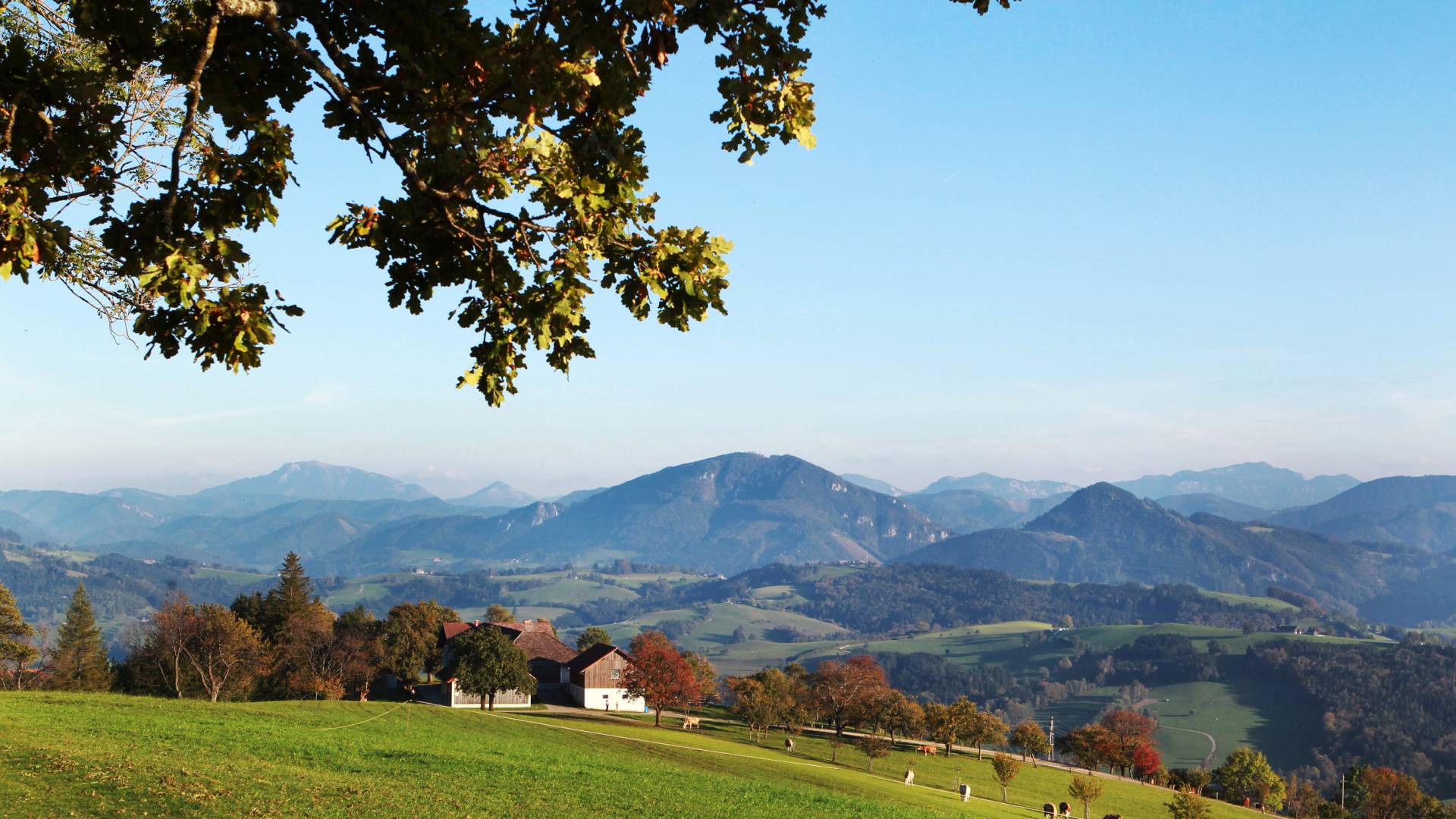 Die Landschaft des Mostviertels
