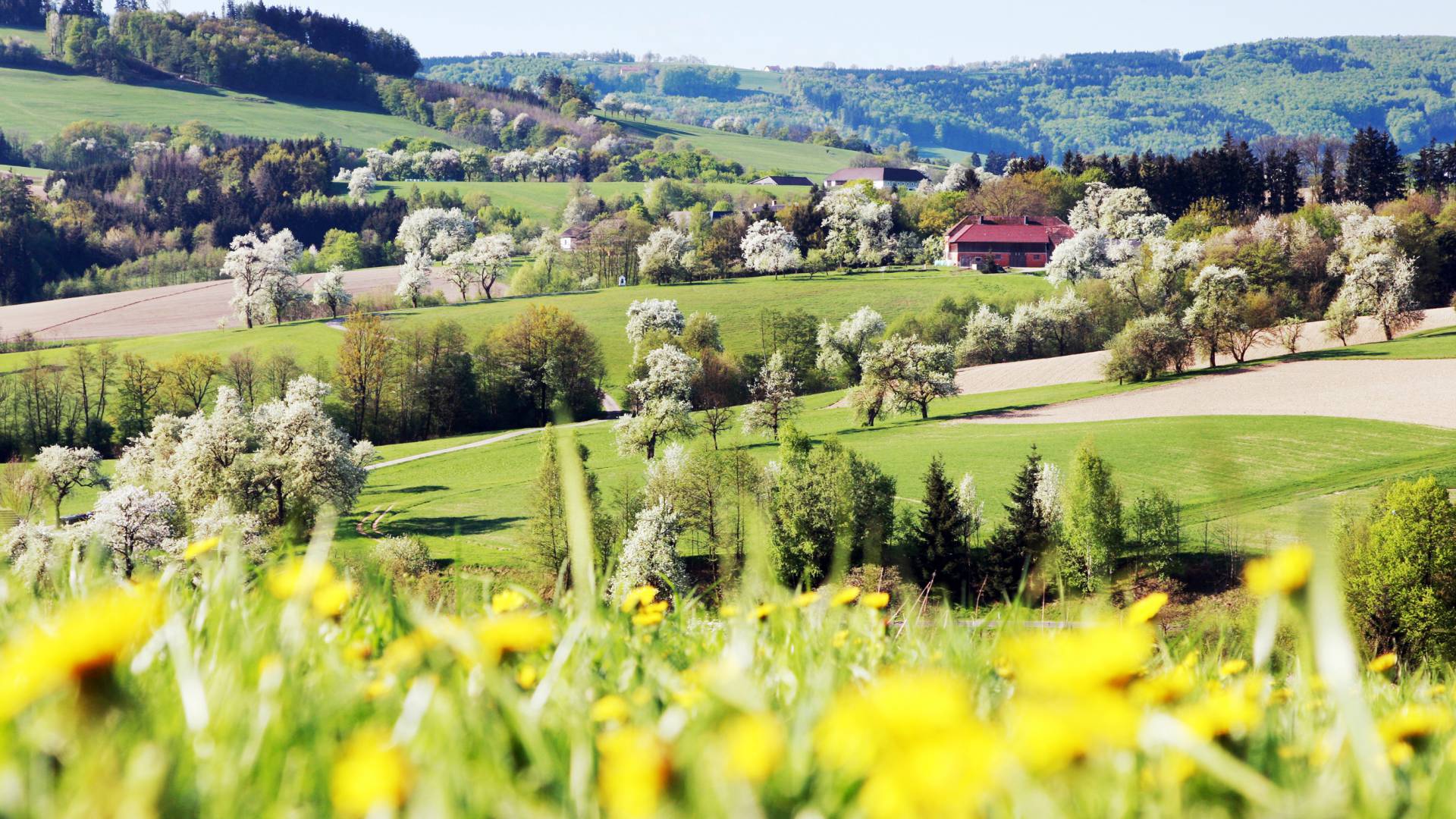 Herrlicher Ausblick auf Neuhofen an der Ybbs