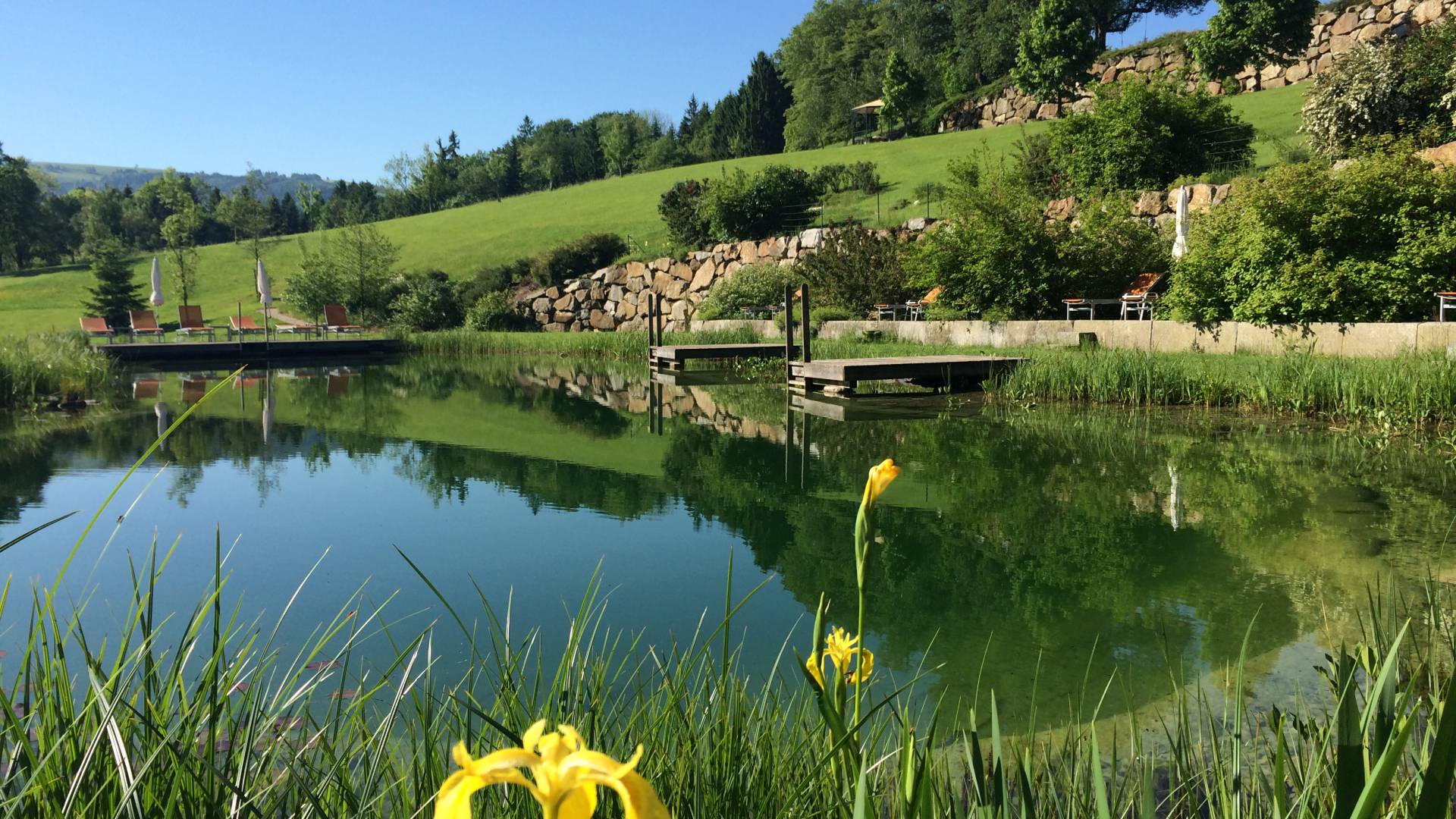 Badeteich im RelaxGarten