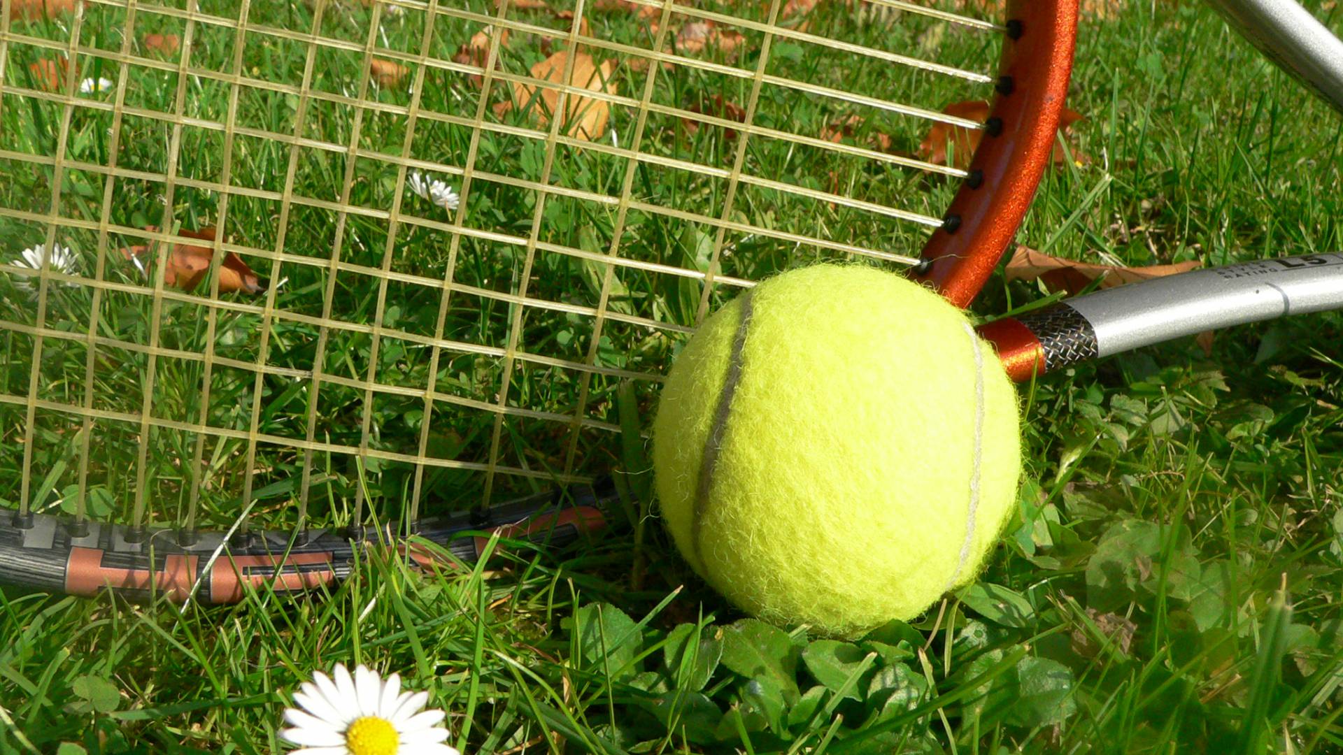 Hauseigener Tennisplatz