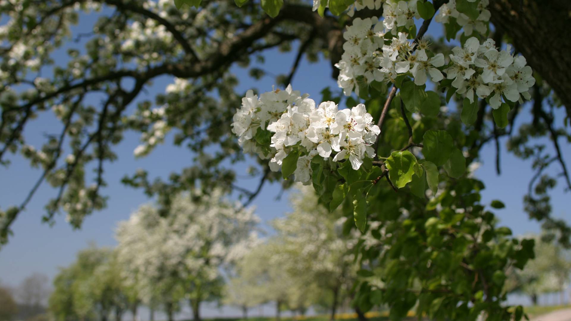 Wohlfühloase im RelaxResort im Frühling