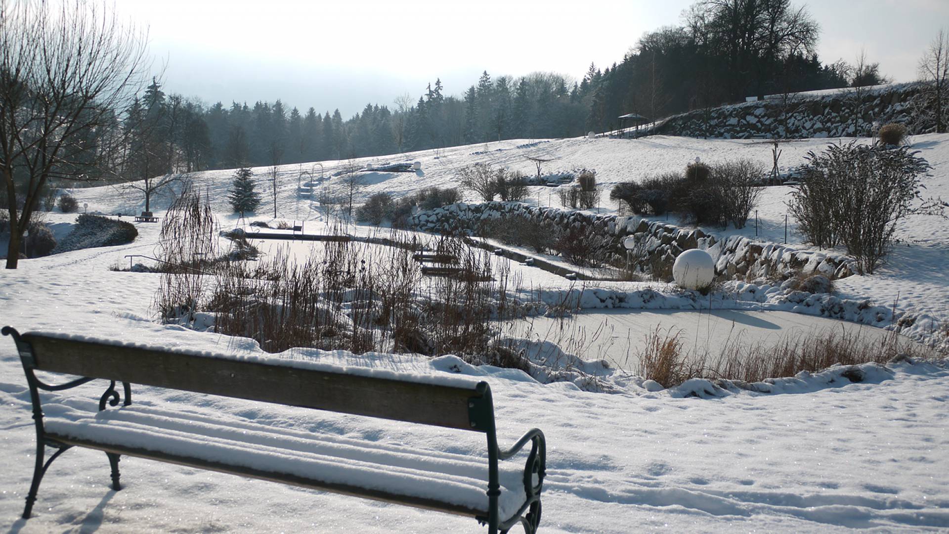 Glitzerschnee im Garten