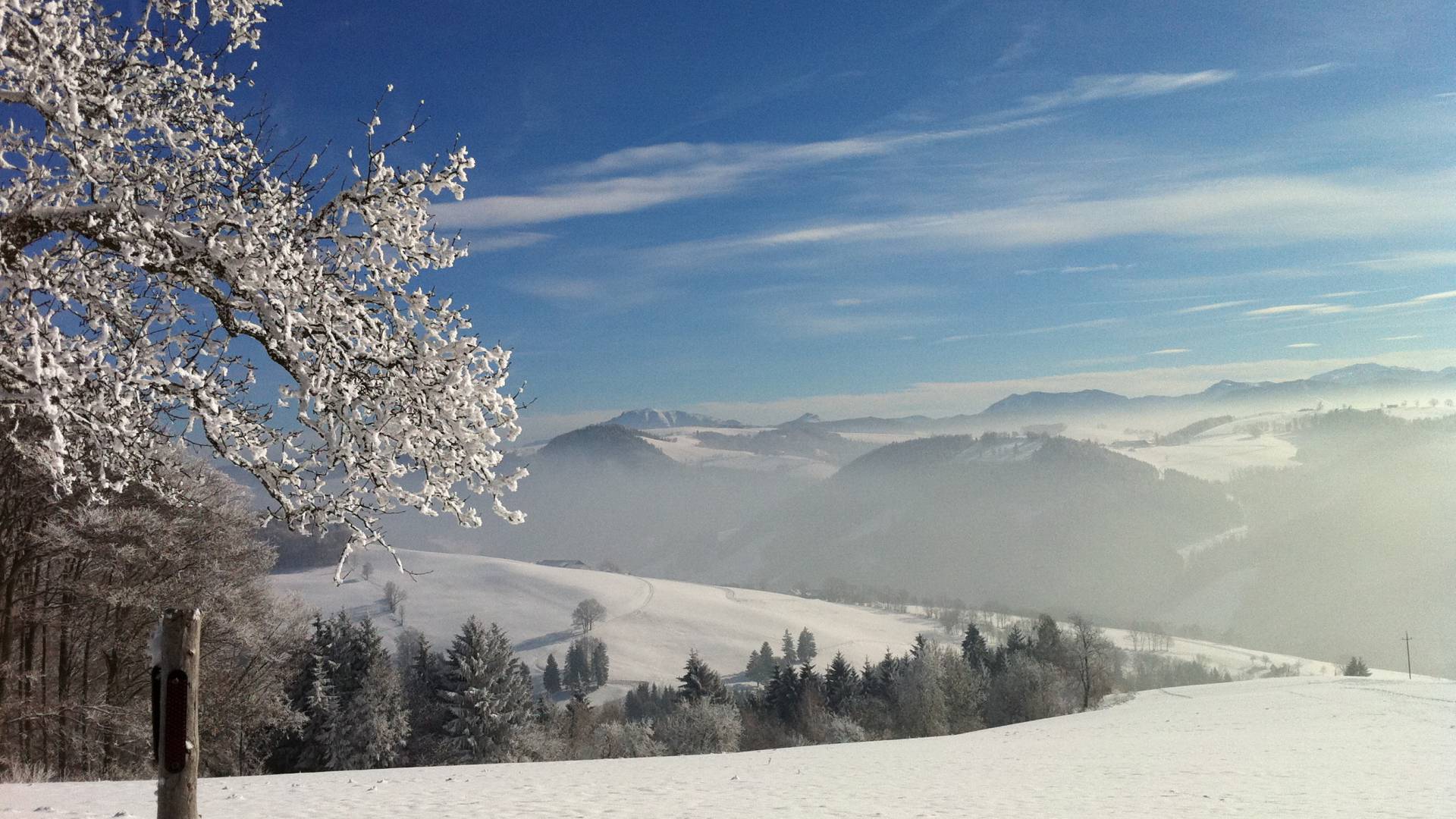 Winterlandschaft im Mostviertel