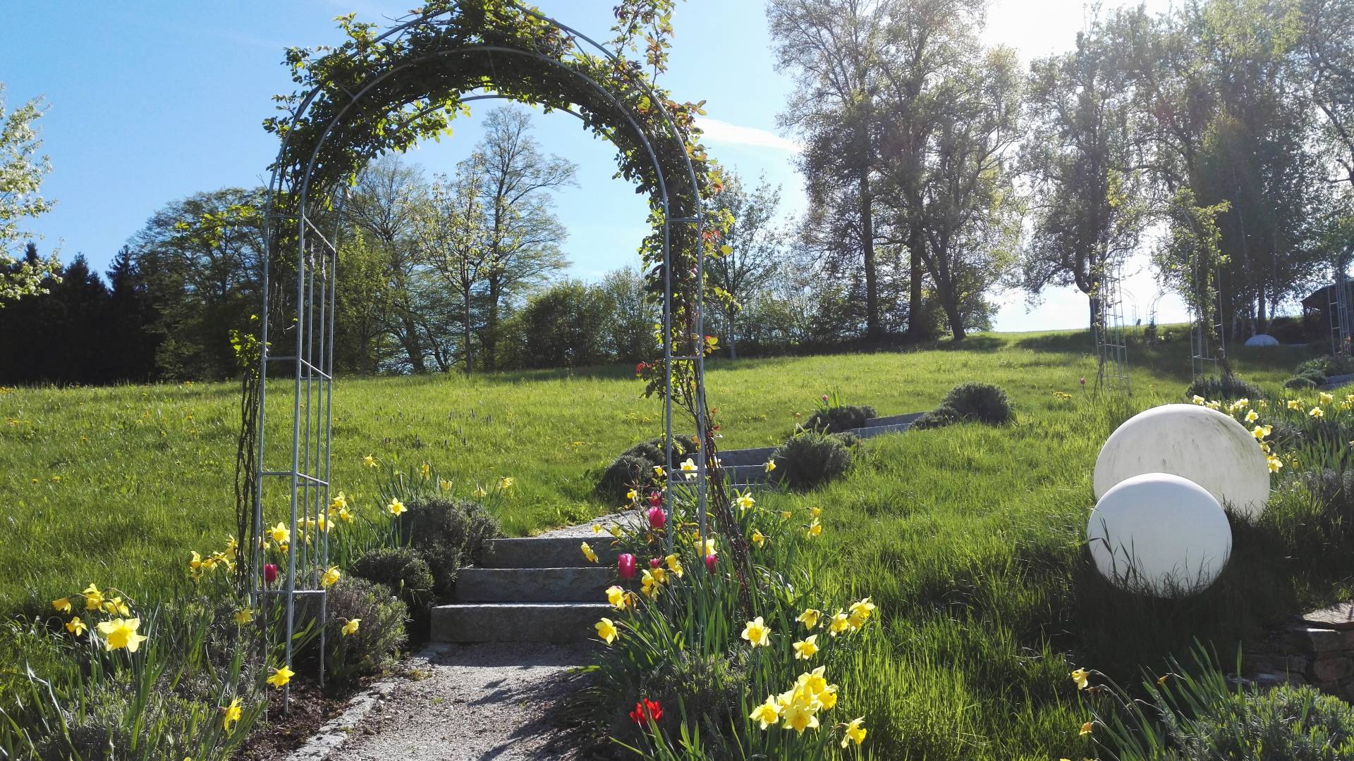 Romantischer Rosenweg für Heiratsantrag im RelaxGarten